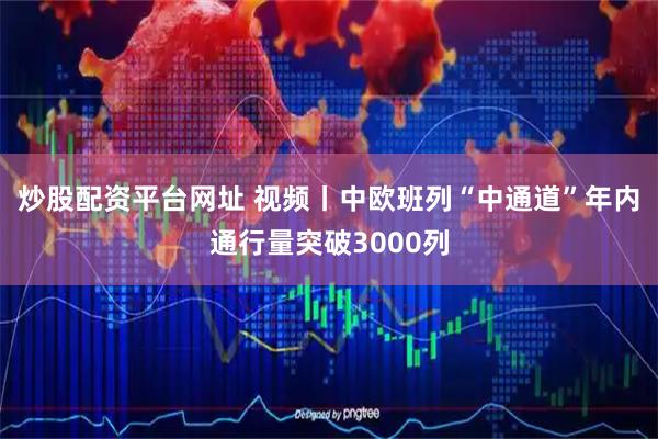 炒股配资平台网址 视频丨中欧班列“中通道”年内通行量突破3000列